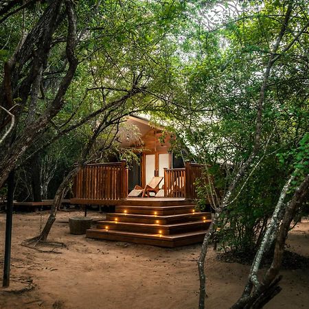 Hotel Leopard Reach Yala By Seven Angels Tissamaharama Zewnętrze zdjęcie