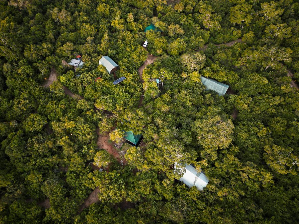 Hotel Leopard Reach Yala By Seven Angels Tissamaharama Zewnętrze zdjęcie