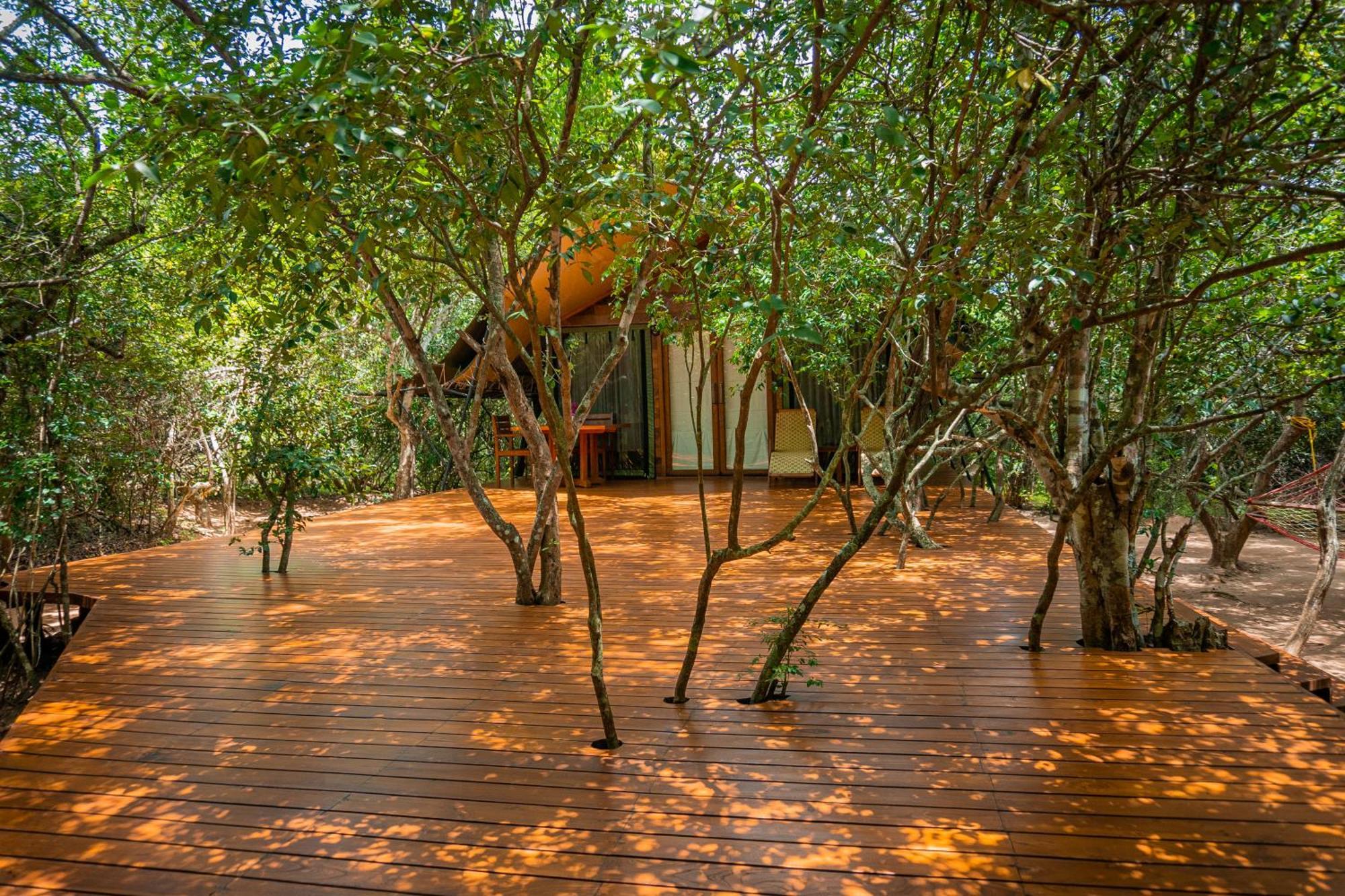 Hotel Leopard Reach Yala By Seven Angels Tissamaharama Zewnętrze zdjęcie